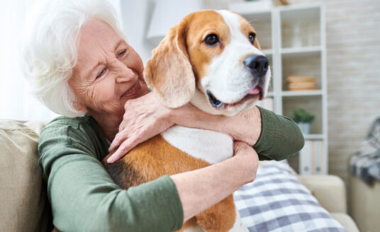 Dogs can help improve health in seniors and prevent loneliness