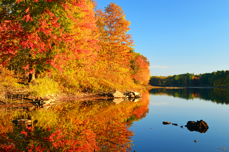 Beautiful fall foliage in St. Louis over a body of water